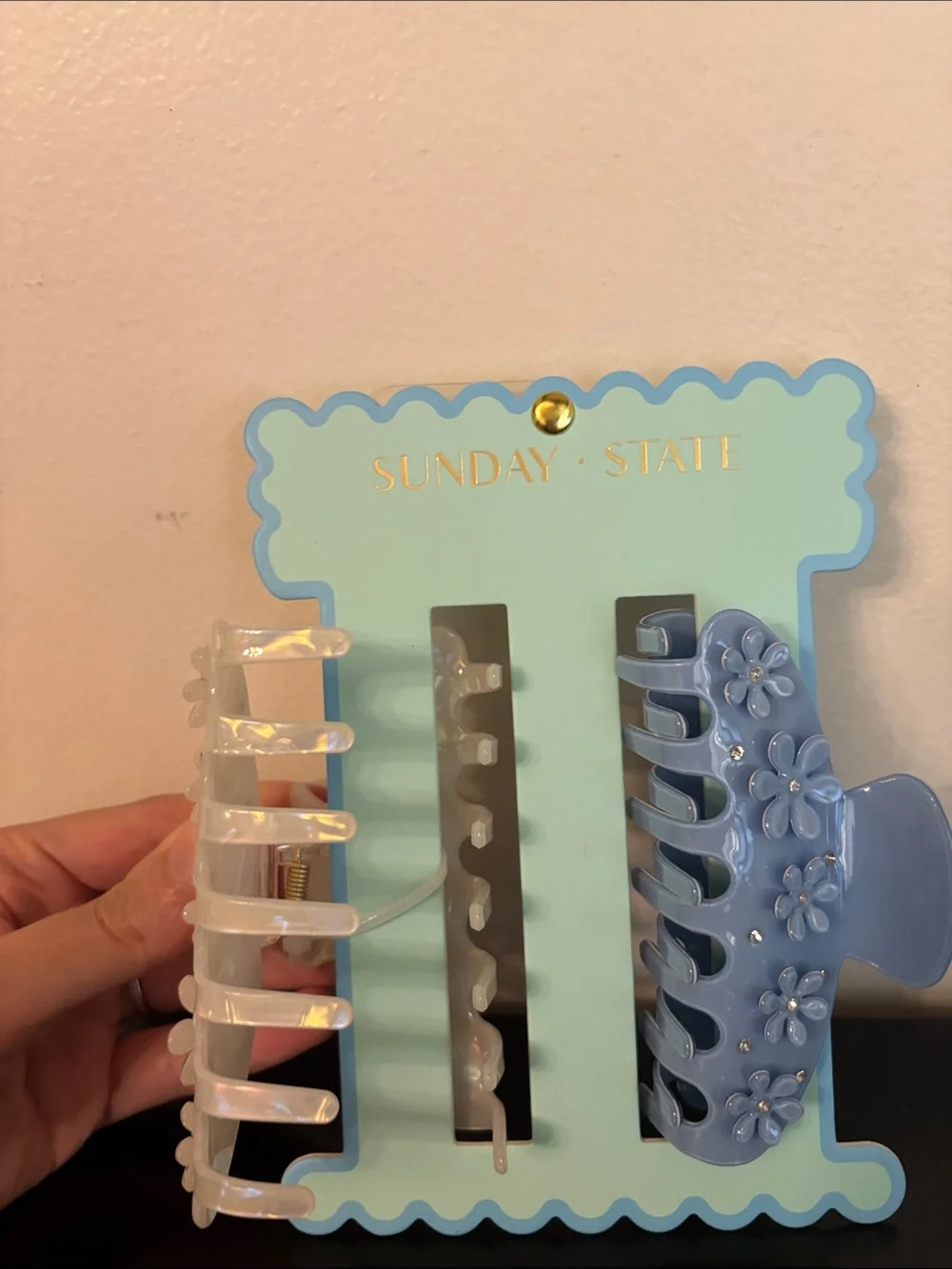 Sunday State Floral Resin Hair Clip Set - Blue & Yellow